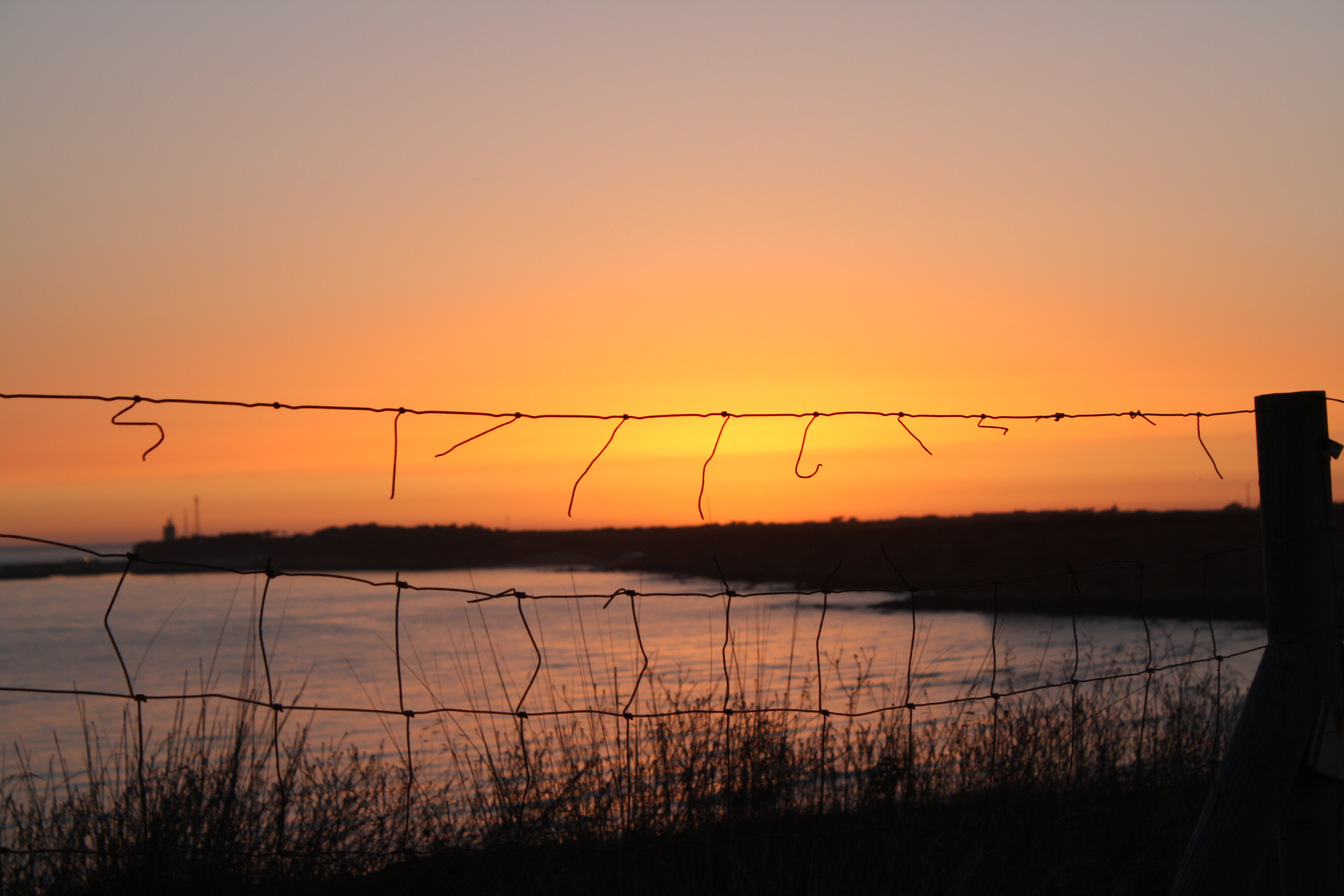 Escapes (Silvia)IMG_3458