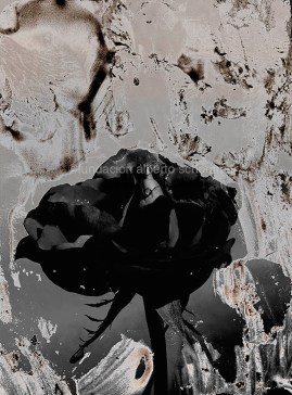 Schommer SERIE-FLORES-0811