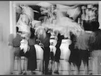 La belleza como&nbsp;argumento