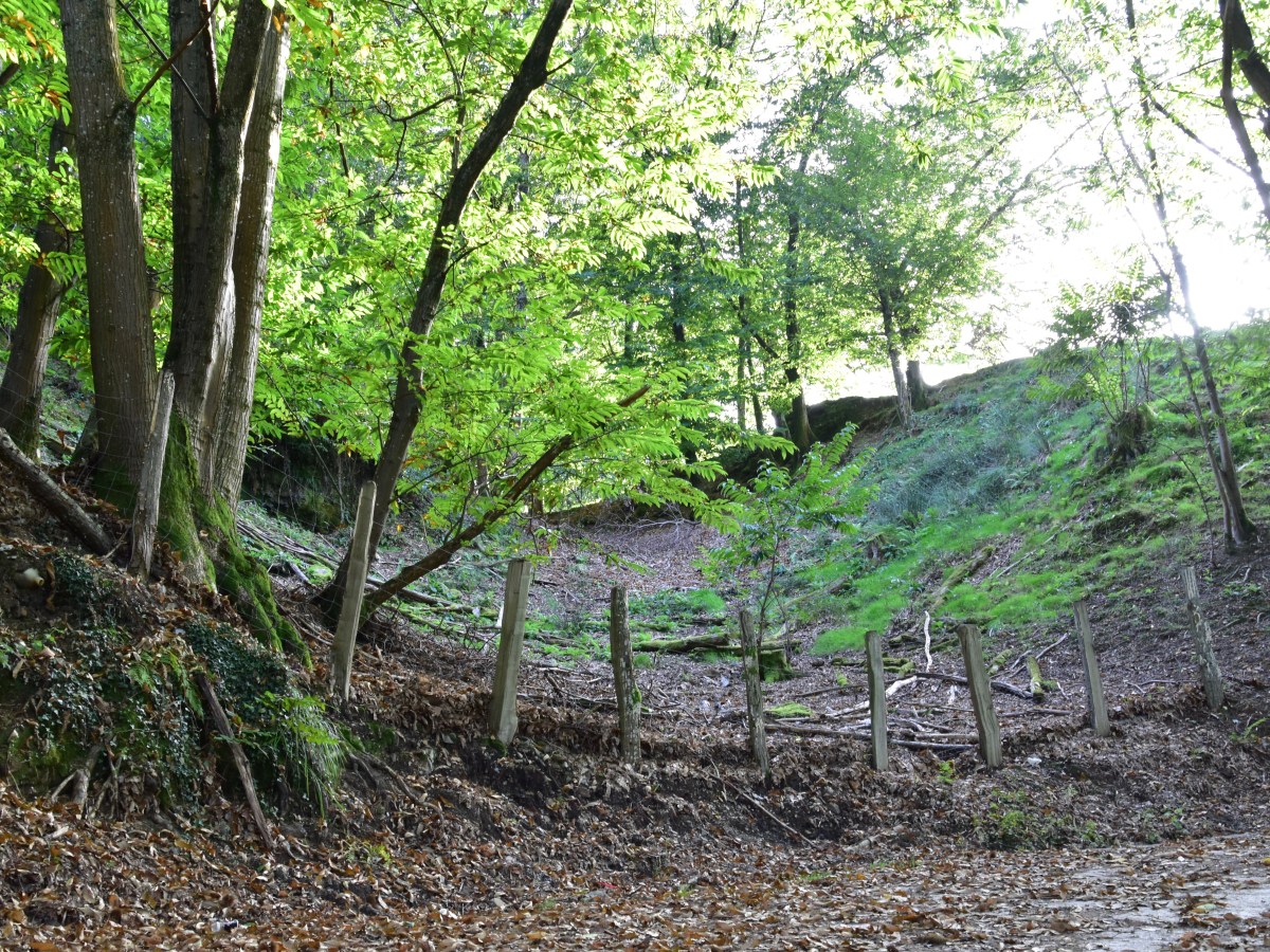 A veces solo&nbsp;silencio