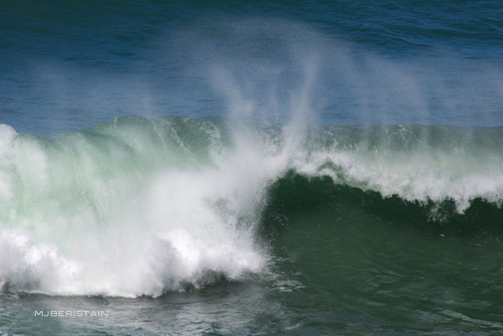 ss el mar dsc_1106 copia copia