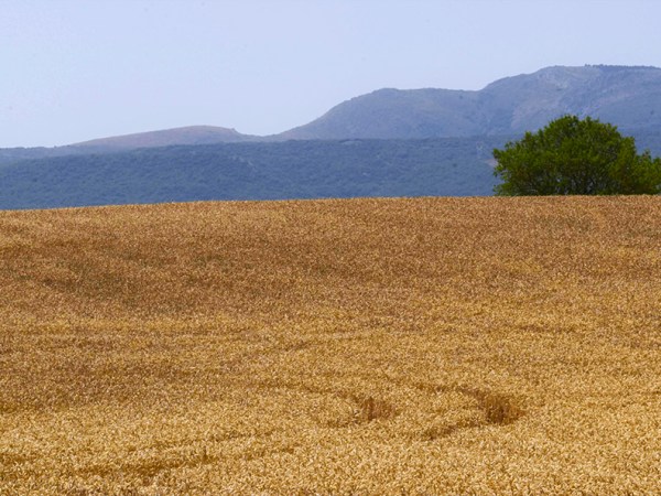 Una oración diminuta