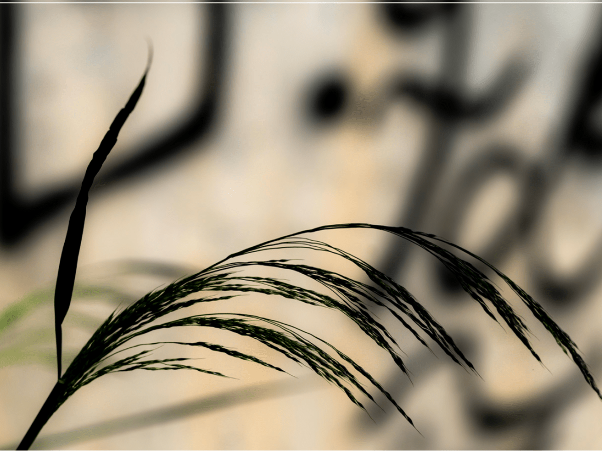 A orillas de mi&nbsp;sien