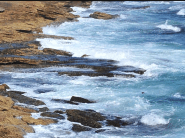 Dónde está mi&nbsp;amor