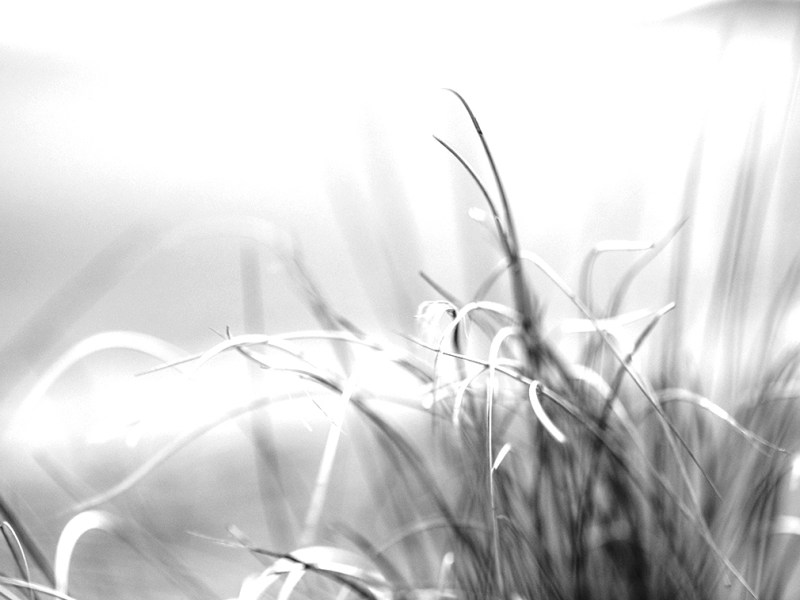 LA quiero a&nbsp;vivir