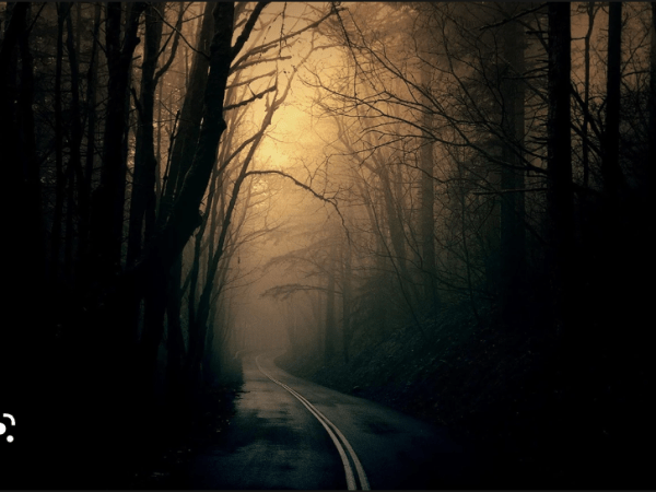 El camino de los&nbsp;tilos