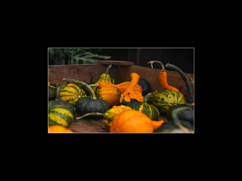 Calabazas