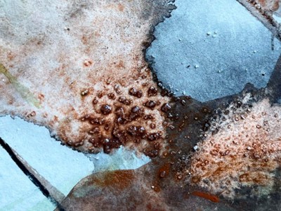 DEL MAR AL&nbsp;FONDO