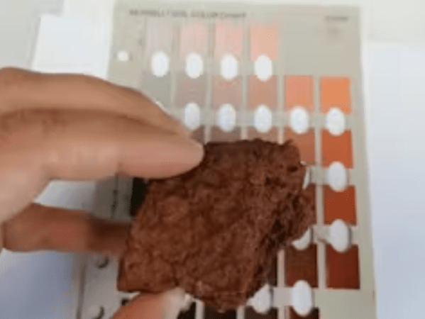 EL COLOR DE LA&nbsp;TIERRA