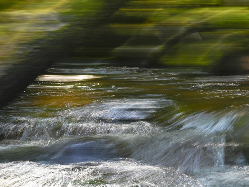 El lenguaje del&nbsp;Agua