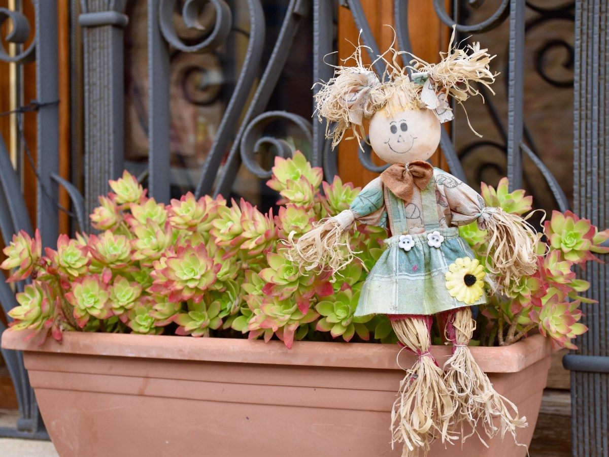 UN POCO DE ORDEN Y&nbsp;LIMPIEZA…