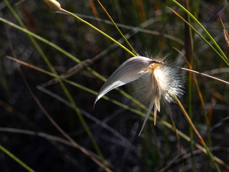 PRIMAVERA DE LOS PUEBLOS&nbsp;ABANDONADOS